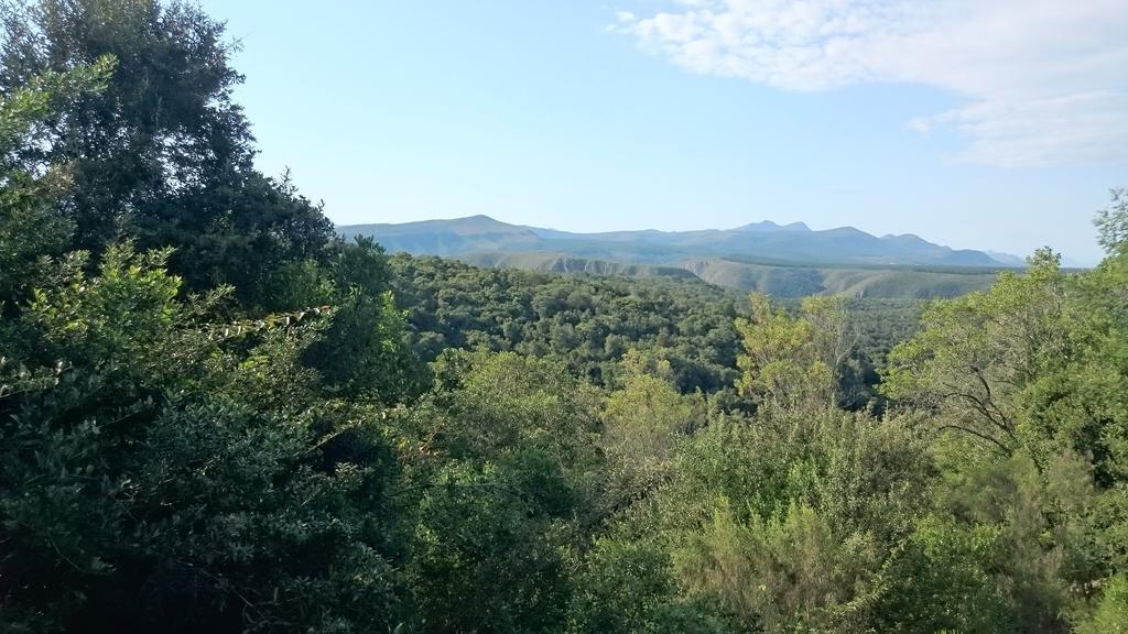 Plettenberg Bay Game Reserve: The Baroness Safari Lodge Dış mekan fotoğraf